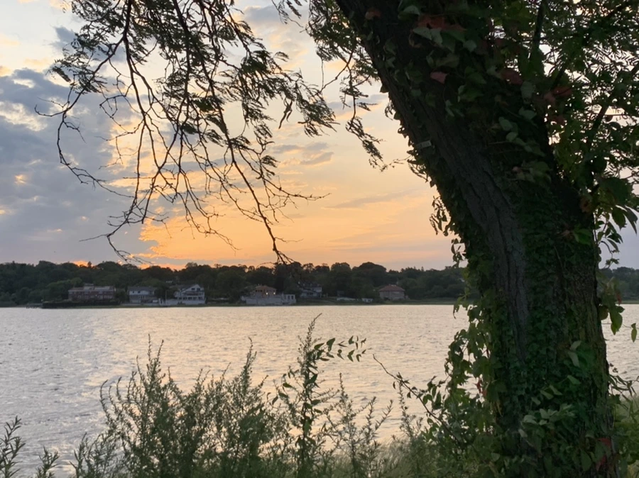 IMG_1714.jpg?type=w966