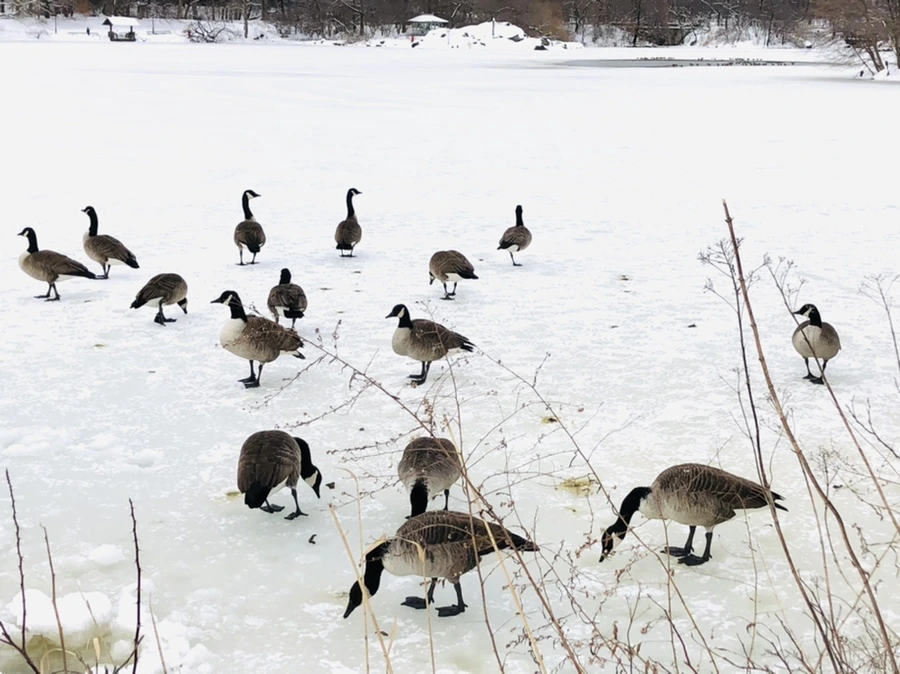 IMG_9489.jpg?type=w966