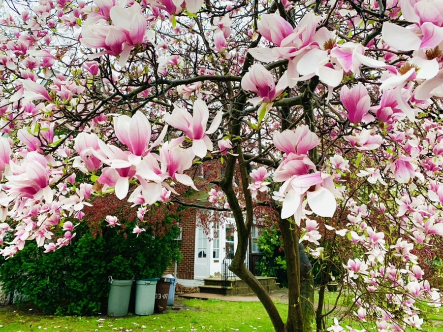 IMG_2333.jpg?type=w966