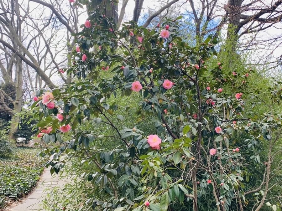 IMG_6433.jpg?type=w966