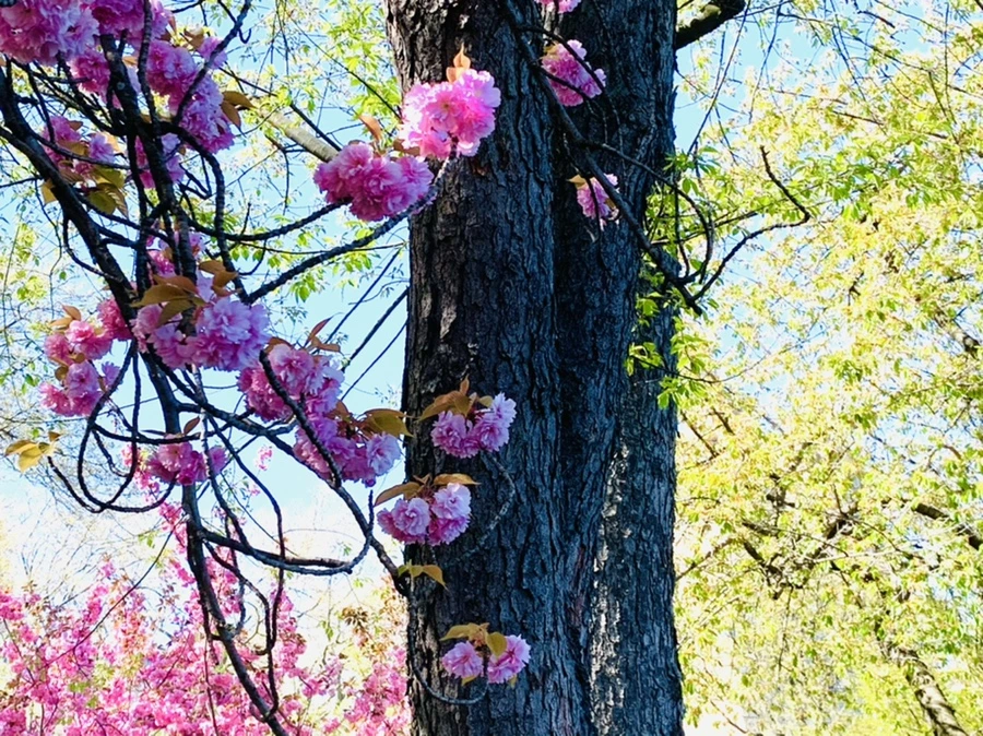 IMG_5997.jpg?type=w966