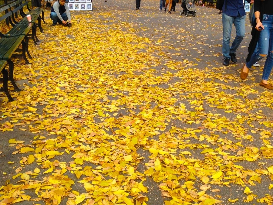 IMG_4841.JPG?type=w1