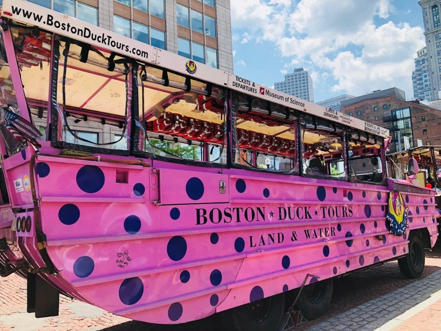 IMG_6740.jpg?type=w966