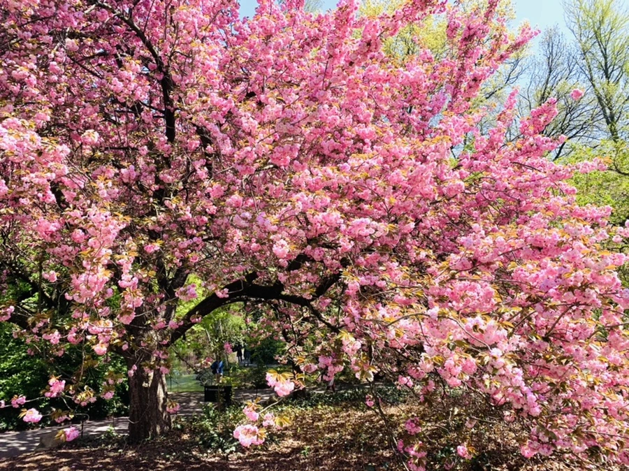 IMG_6392.jpg?type=w966