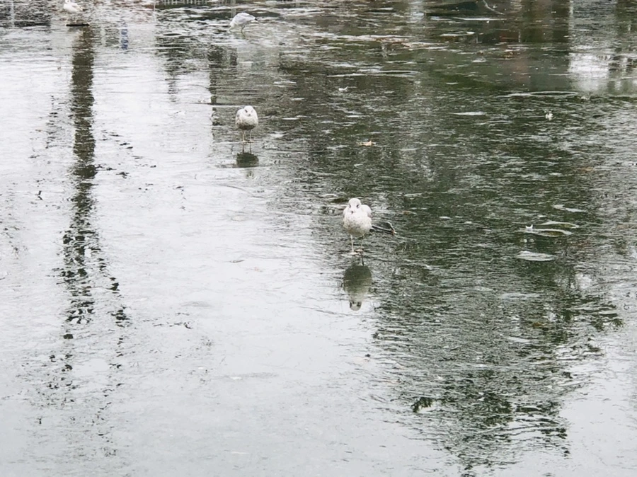 IMG_3120.jpg?type=w966