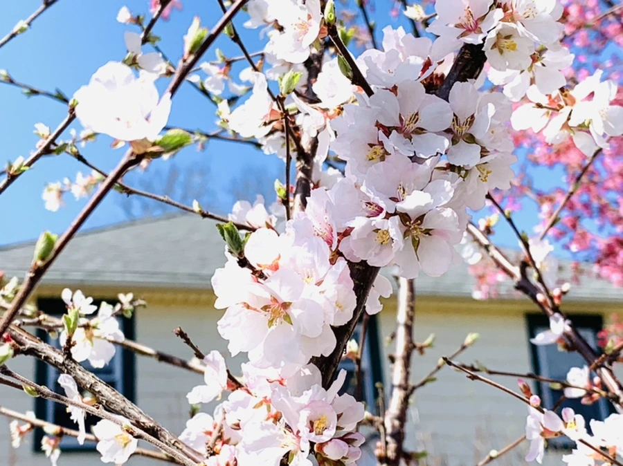 IMG_8038.jpg?type=w966