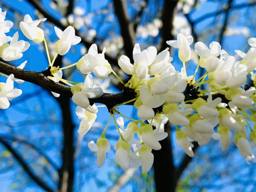 IMG_8413.jpg?type=w966