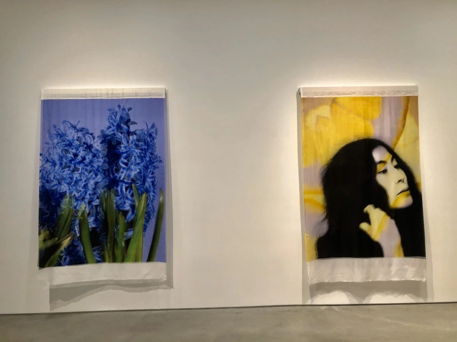 IMG_4280.jpg?type=w966