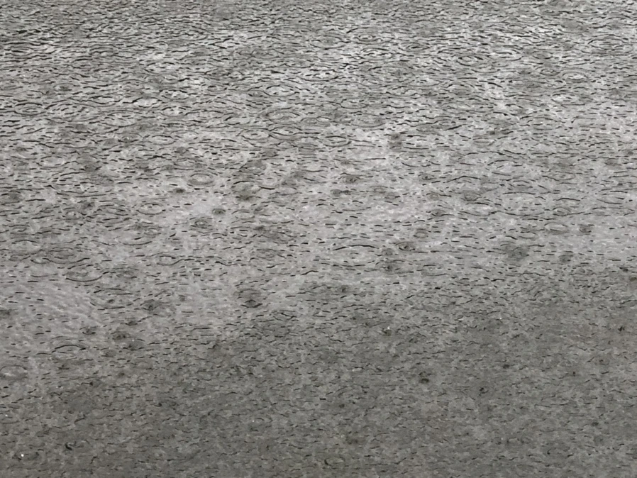 IMG_3277.jpg?type=w966