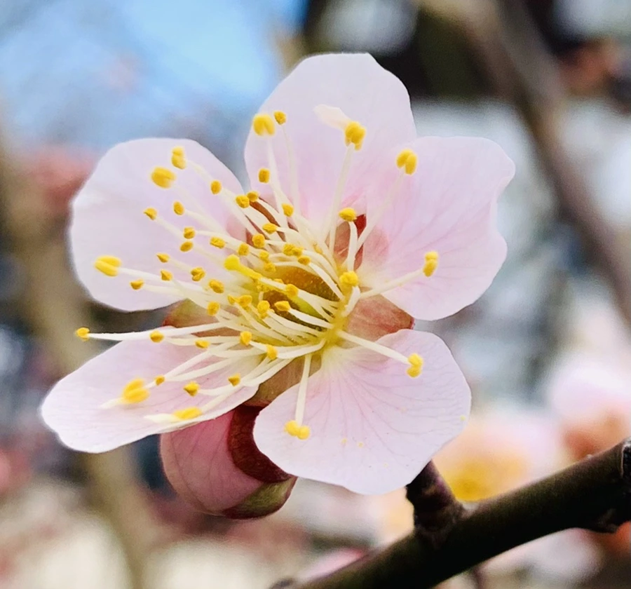 IMG_0485.jpg?type=w966