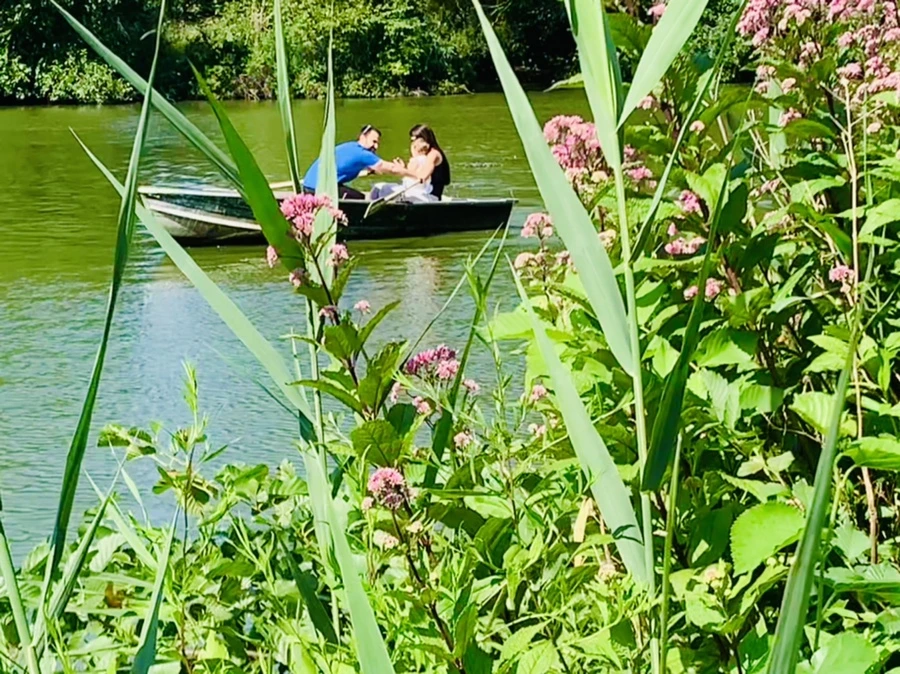 IMG_4459.jpg?type=w966