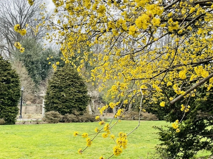 KICeRrxmEVqm2qXHwV9Wmu0rBmk