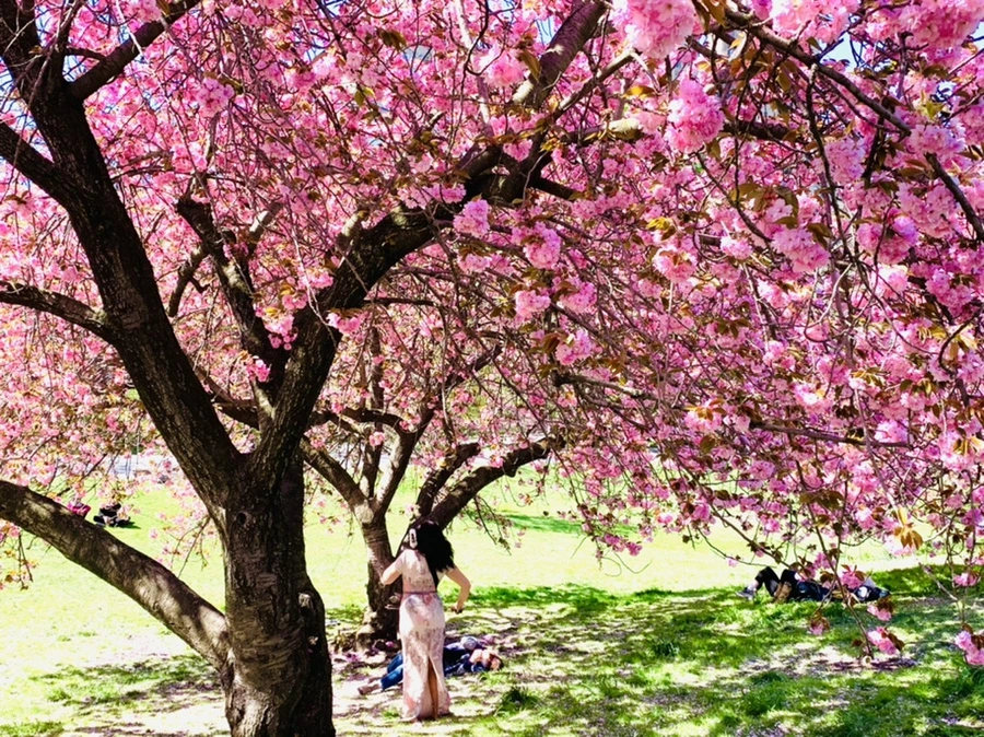 IMG_5936.jpg?type=w966