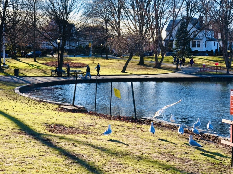 IMG_9312.jpg?type=w966