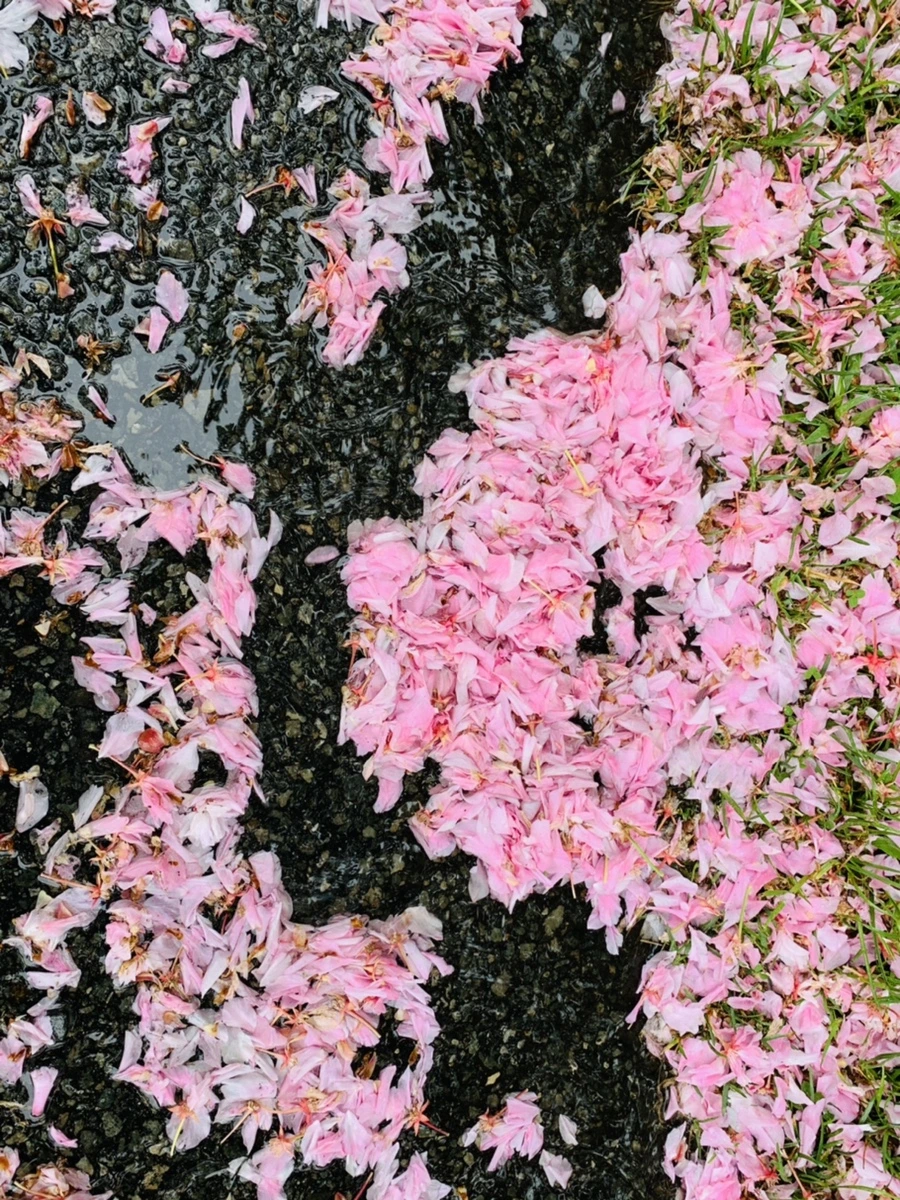 IMG_9879.jpg?type=w966