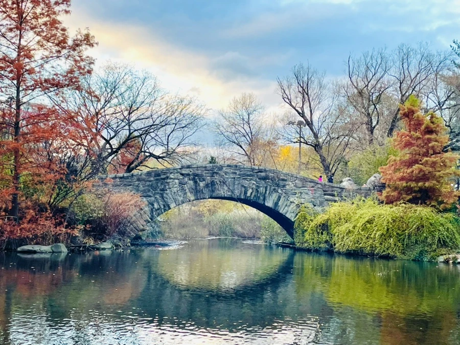 IMG_5312.jpg?type=w966