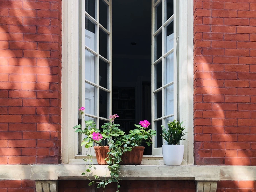 IMG_6252.jpg?type=w966