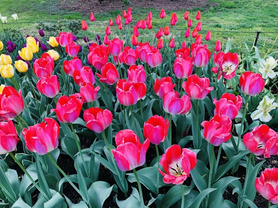 IMG_3739.jpg?type=w966