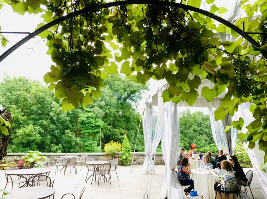 IMG_9320.jpg?type=w966