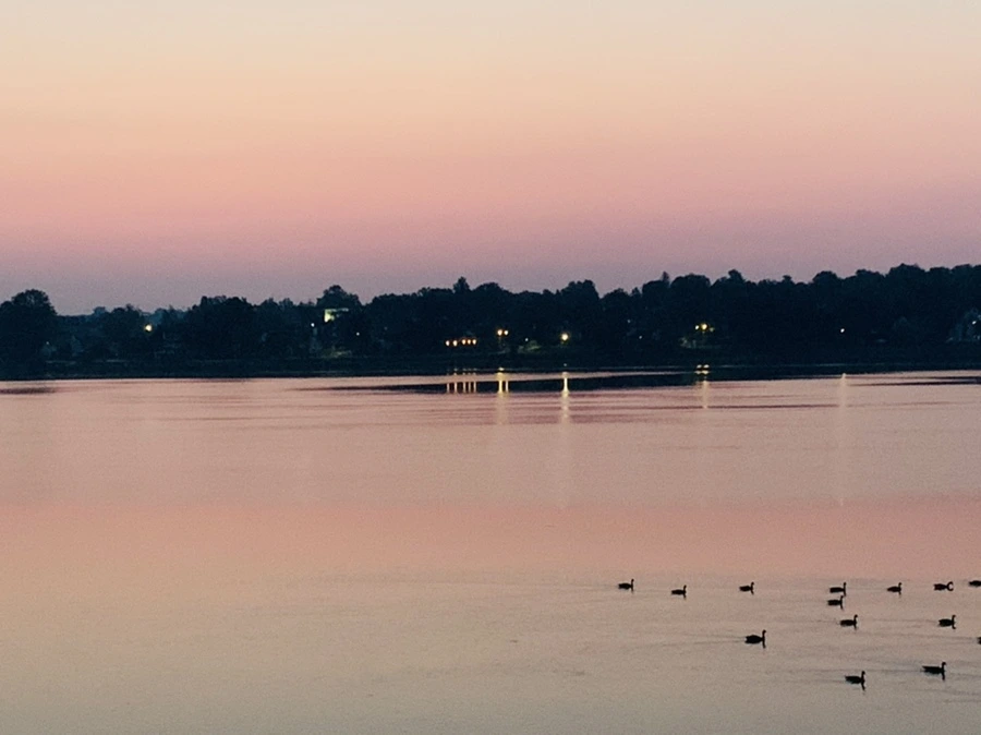 IMG_1811.jpg?type=w966