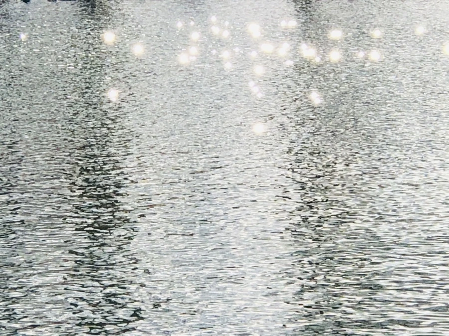 IMG_4381.jpg?type=w966