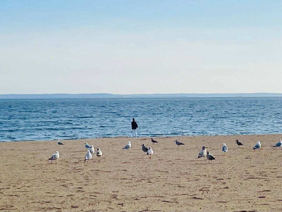 IMG_5051.jpg?type=w966