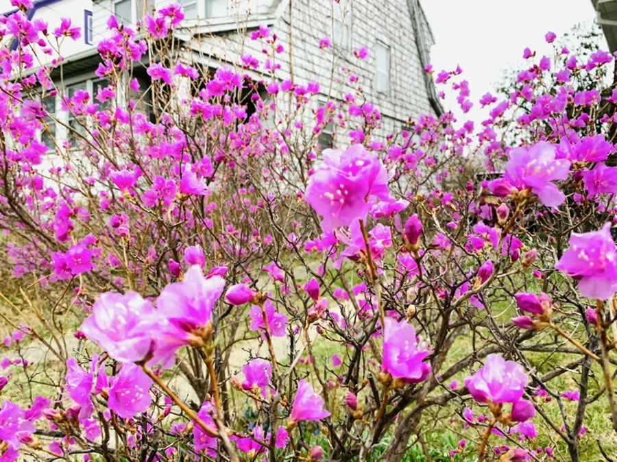 IMG_4742.jpg?type=w966