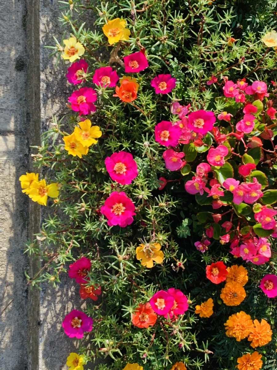 IMG_6643.jpg?type=w966