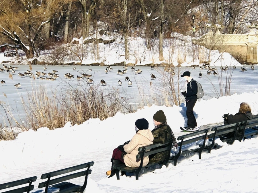 IMG_9874.jpg?type=w966