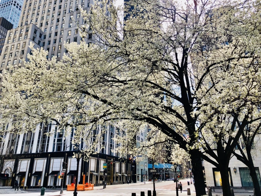 IMG_6671.jpg?type=w966