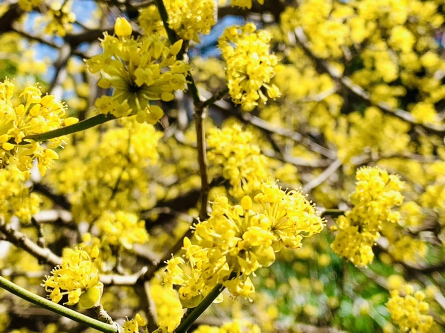 IMG_5746.jpg?type=w966