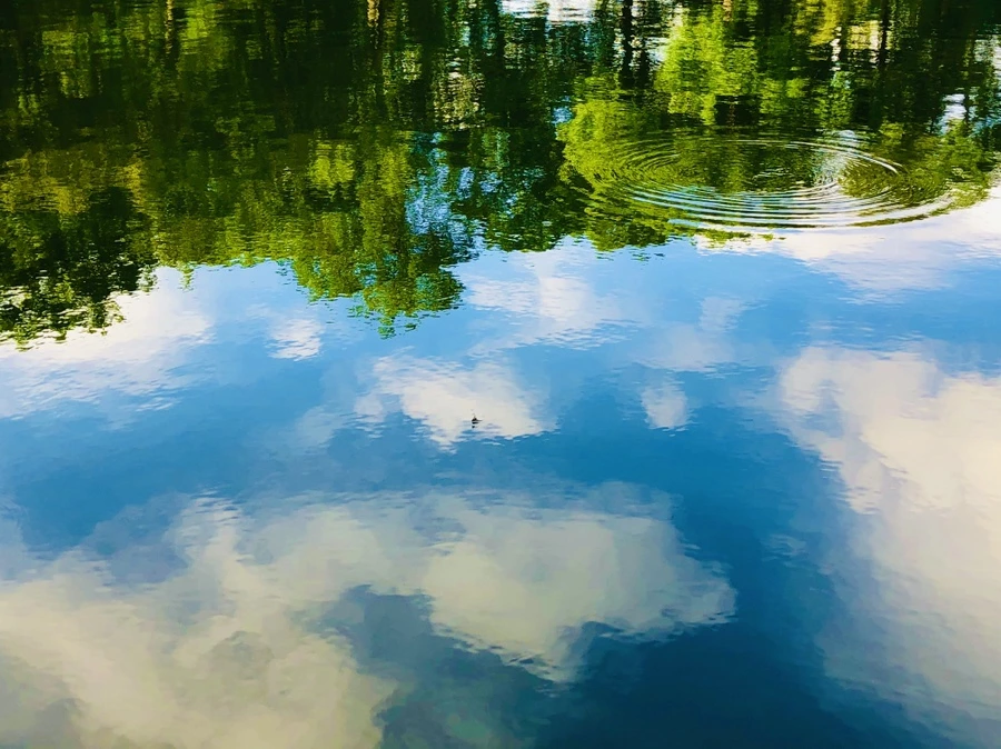 IMG_2941.jpg?type=w966