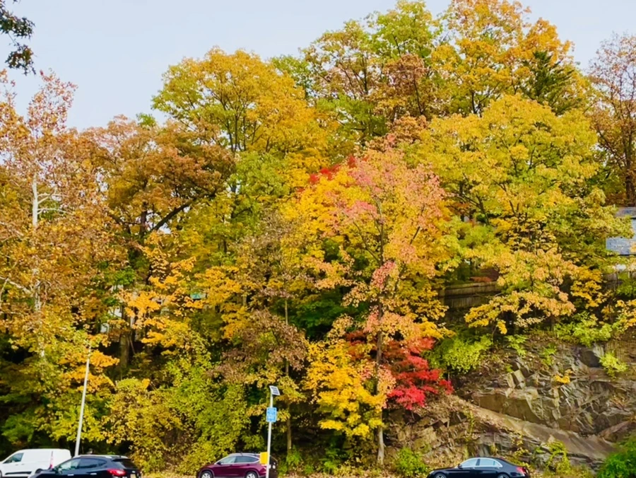 IMG_2298.jpg?type=w966