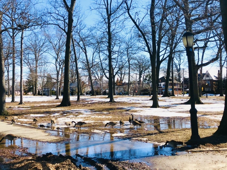 IMG_4982.jpg?type=w966