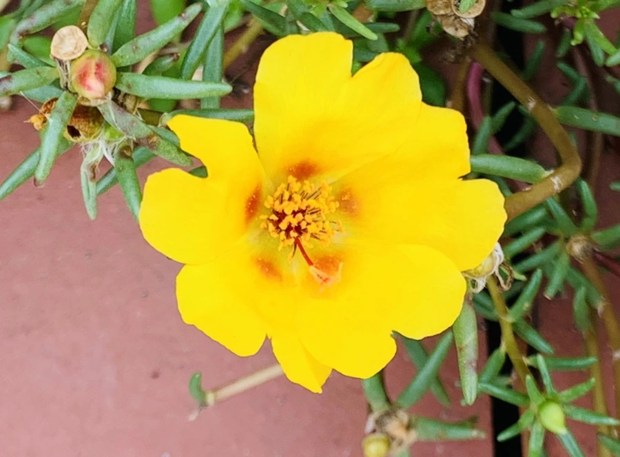 IMG_5914.jpg?type=w966