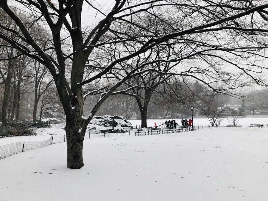 IMG_9527.jpg?type=w966