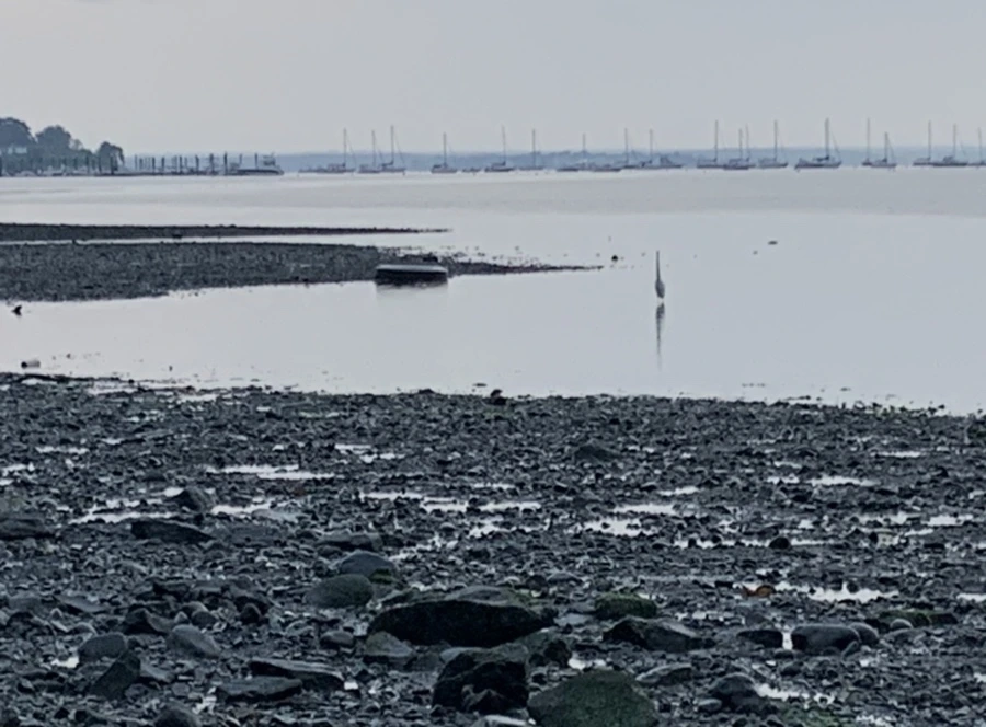 IMG_8102.jpg?type=w966