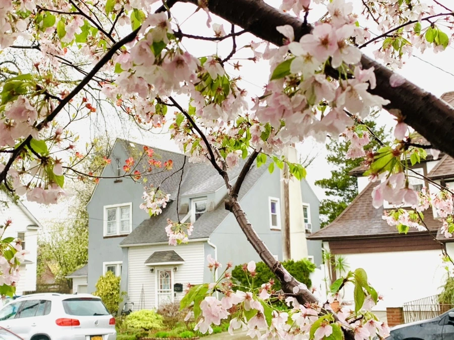 IMG_2272.jpg?type=w966