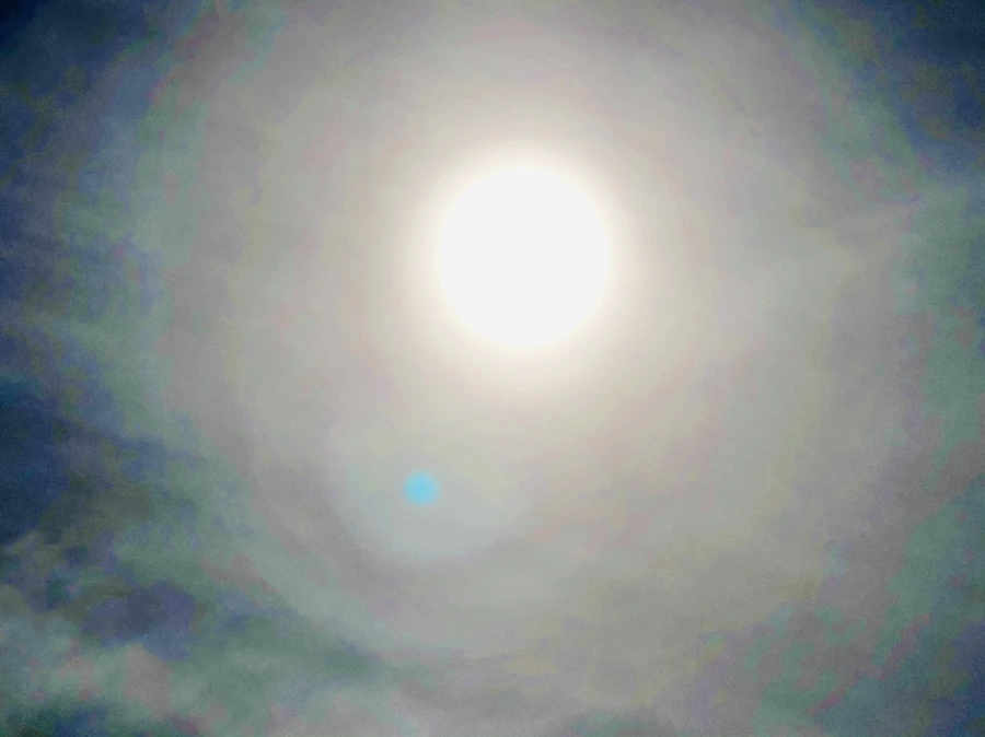 IMG_3157.jpg?type=w966