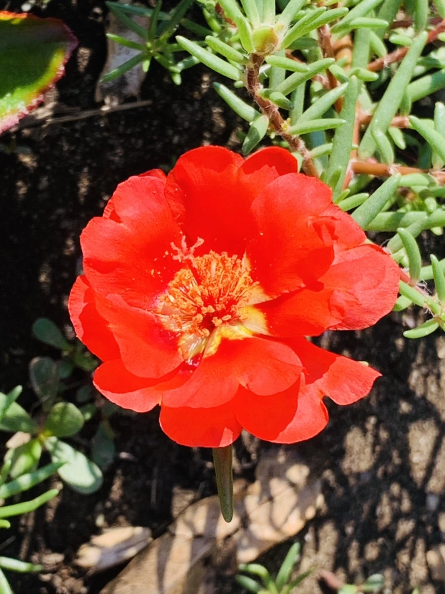 IMG_8391.jpg?type=w966