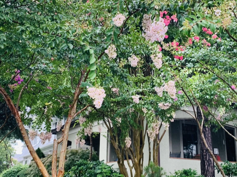 IMG_3807.jpg?type=w966