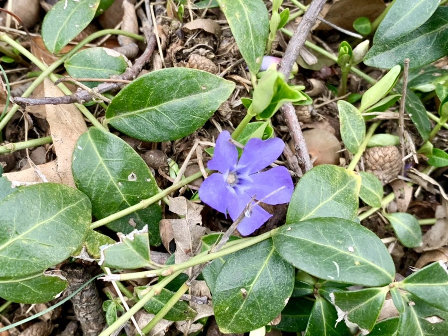 IMG_3444.jpg?type=w966