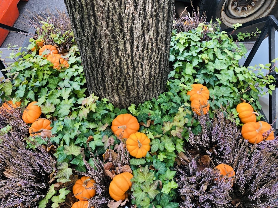 IMG_4969.jpg?type=w966