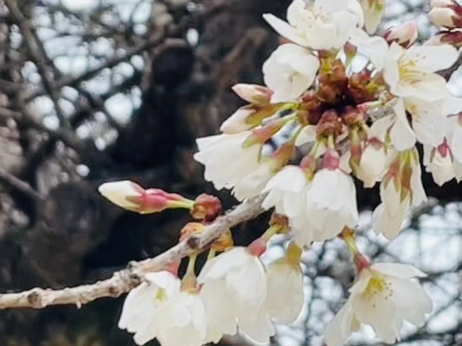 IMG_7880.jpg?type=w966