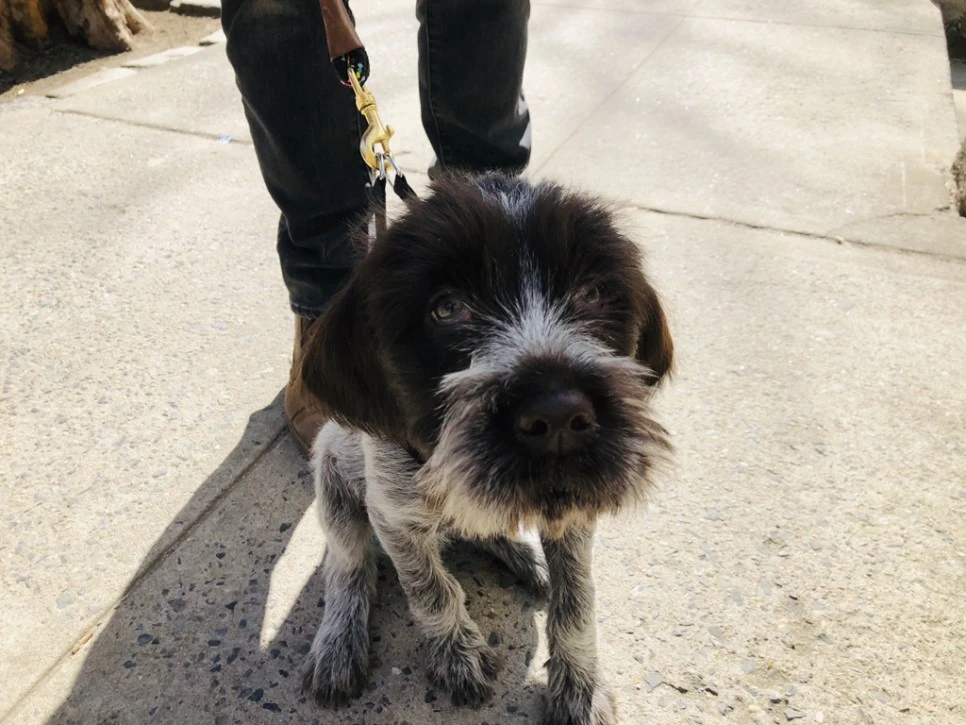 IMG_0661.jpg?type=w966