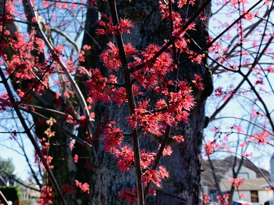 IMG_7571.jpg?type=w966