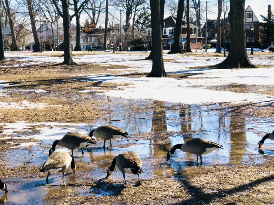 IMG_4971.jpg?type=w966