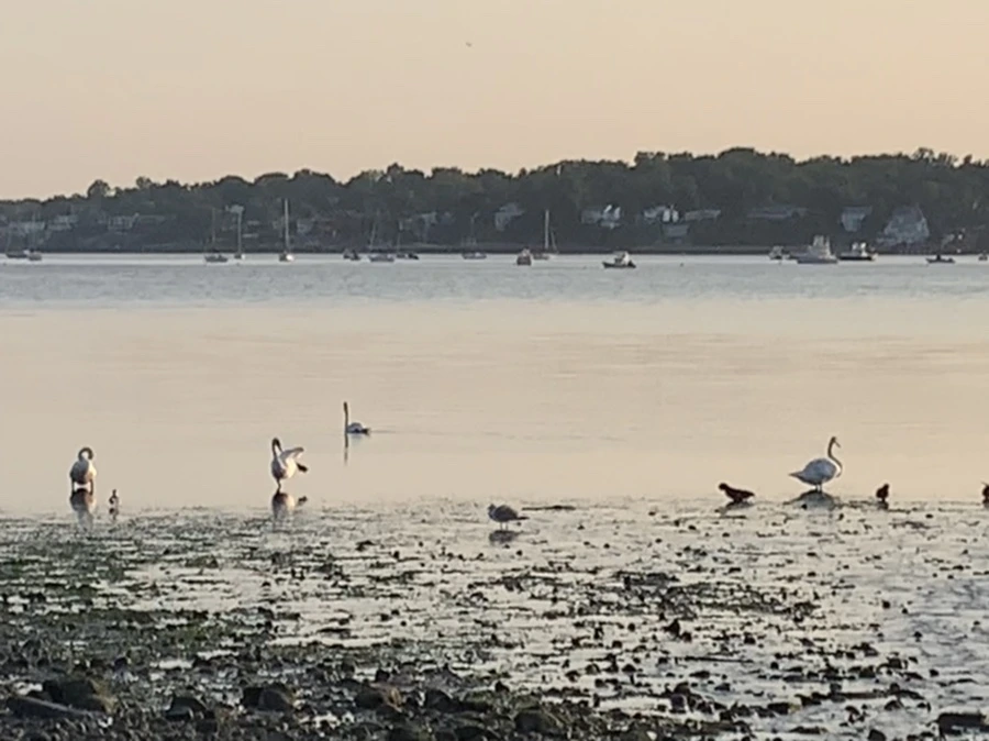 IMG_9766.jpg?type=w966