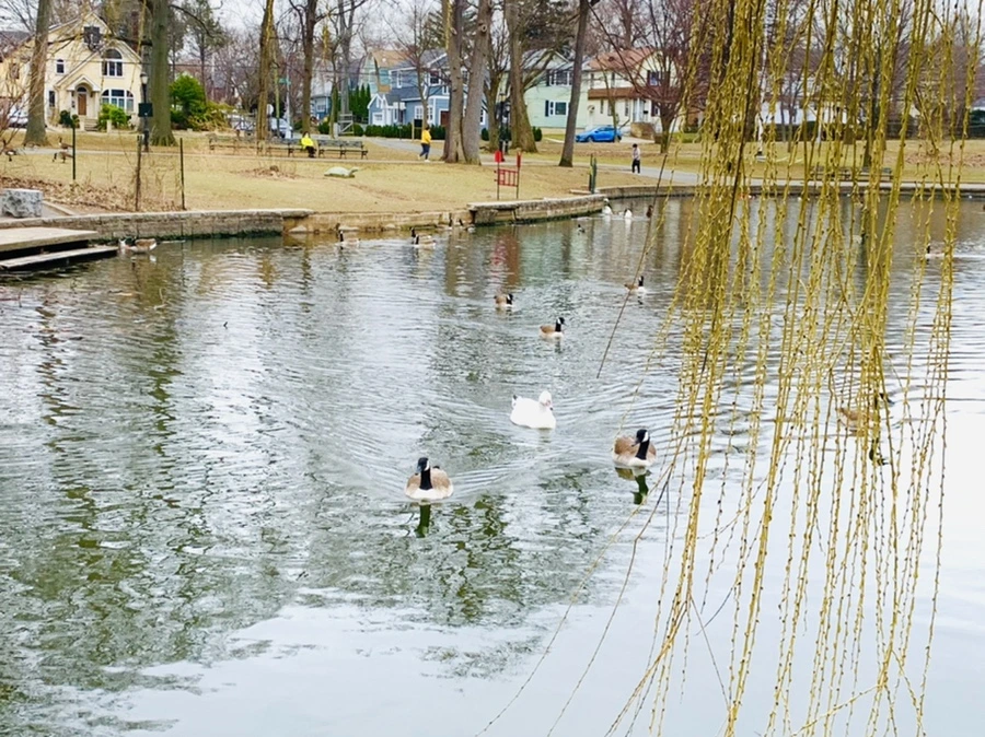 IMG_1634.jpg?type=w966