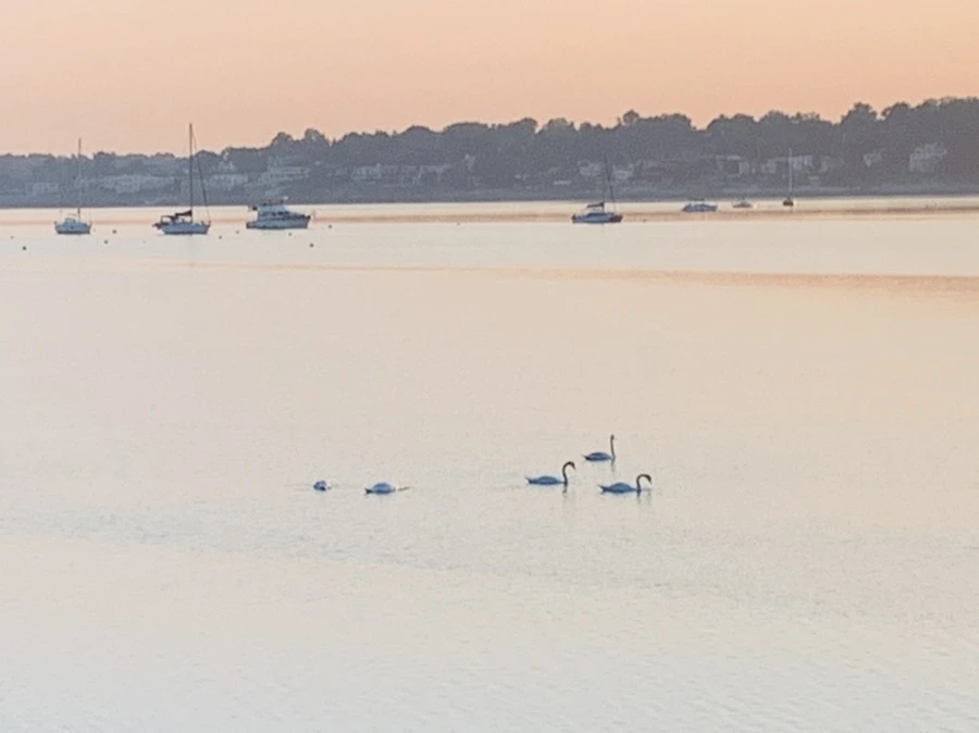 IMG_7231.jpg?type=w966